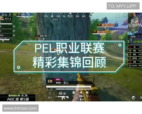 和平精英热点分析：深入探讨RNG战队的战术控制与团队配合